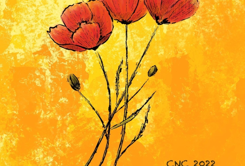 Poppies!