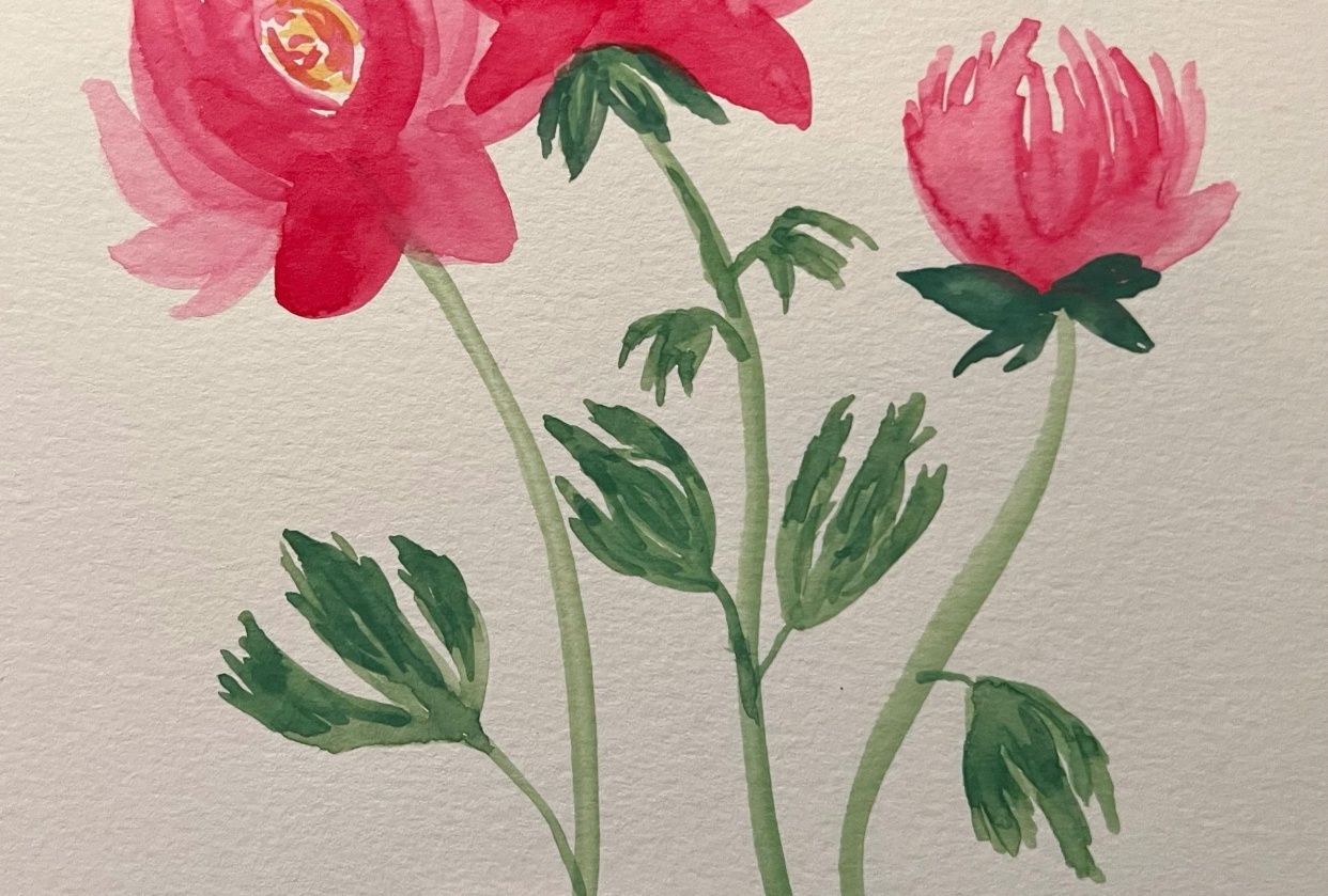 Peonies - student project