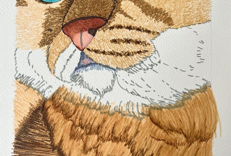 Alcohol Markers - Cat