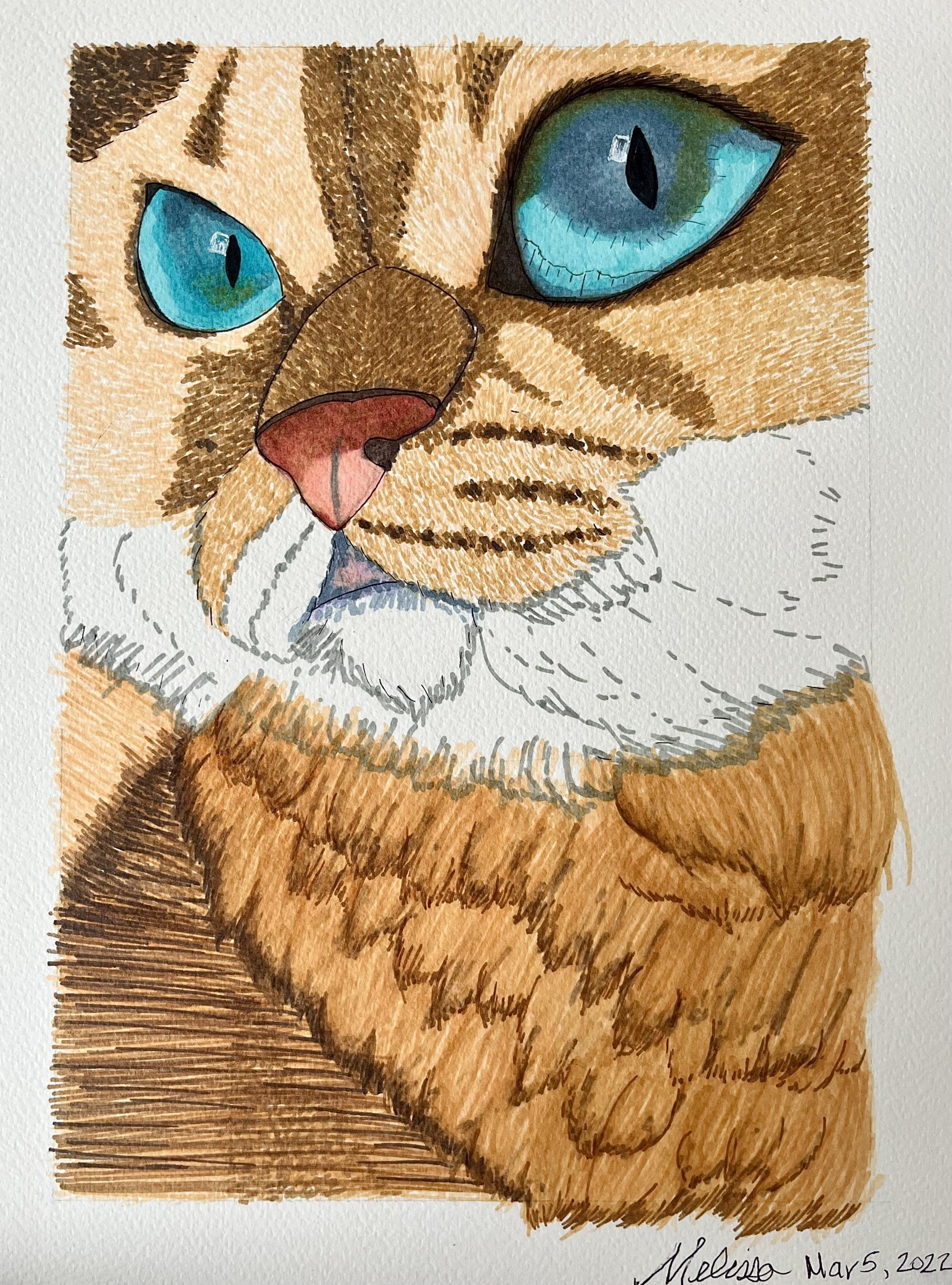 Alcohol Markers - Cat - student project