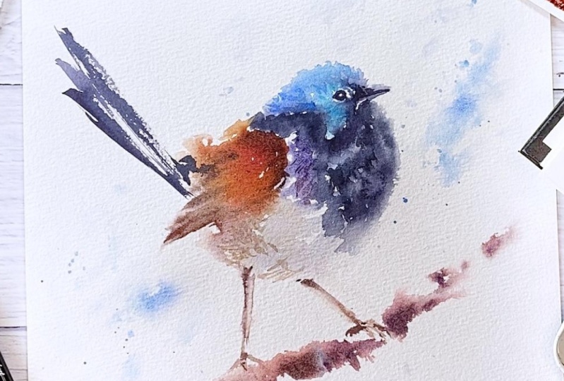 Fairy Wren