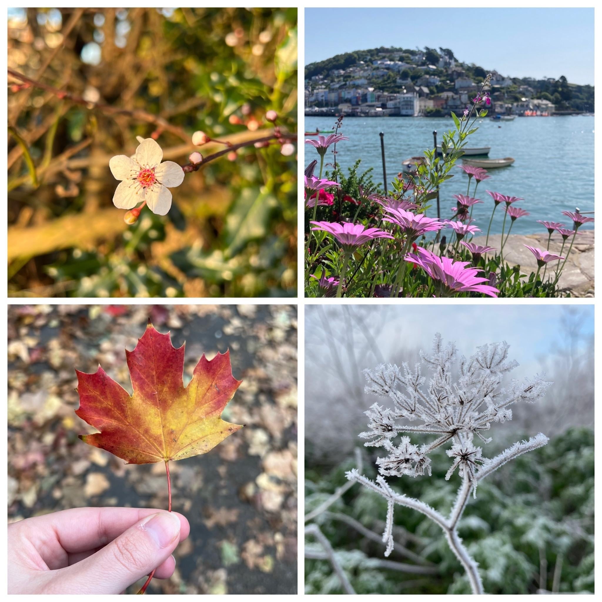 Four Seasons Memories - student project