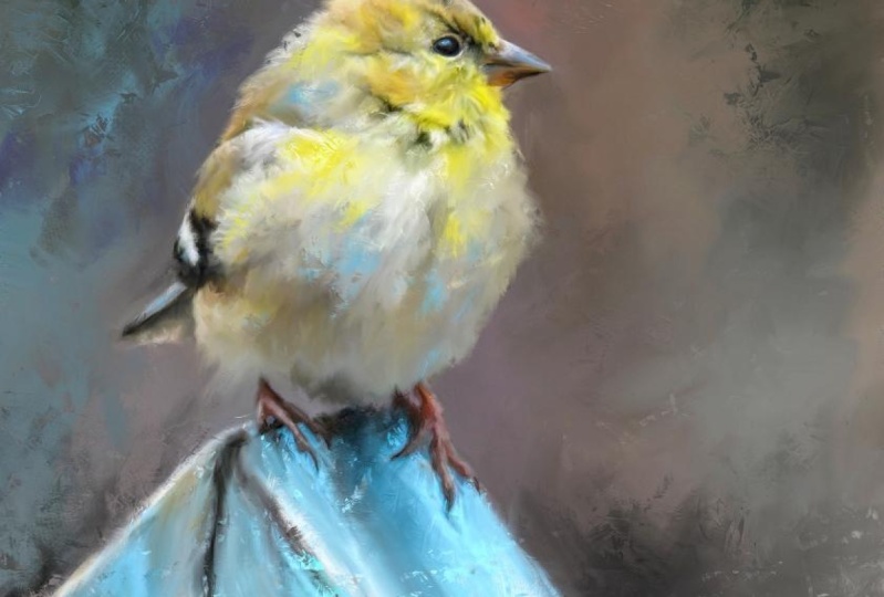 Glorious Goldfinch