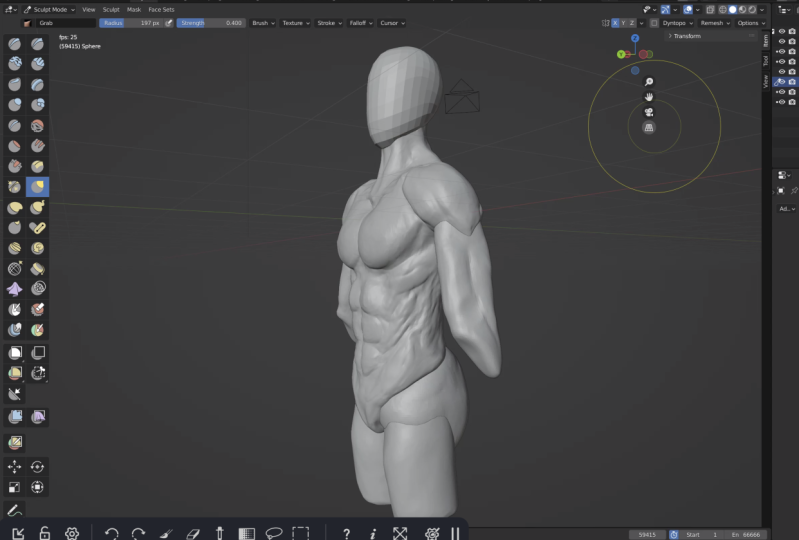 Basic anatomy sculpt