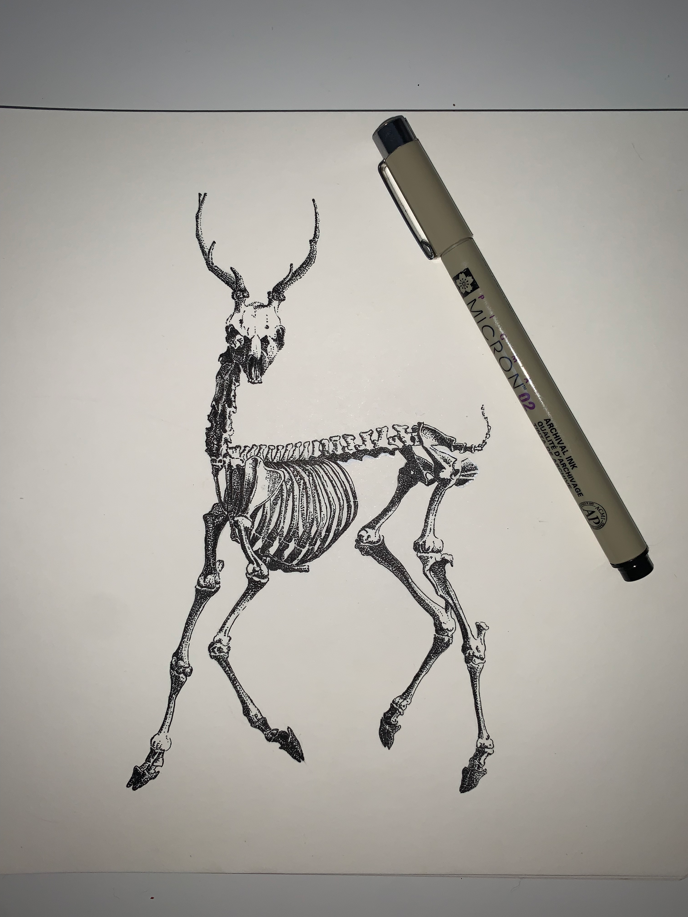 more-projects-from-class-img