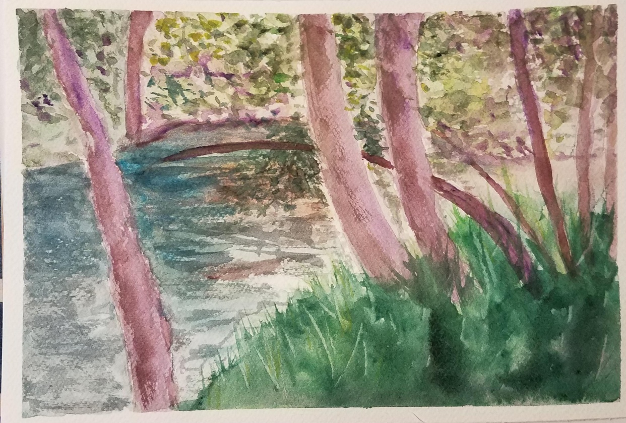 River bank - student project