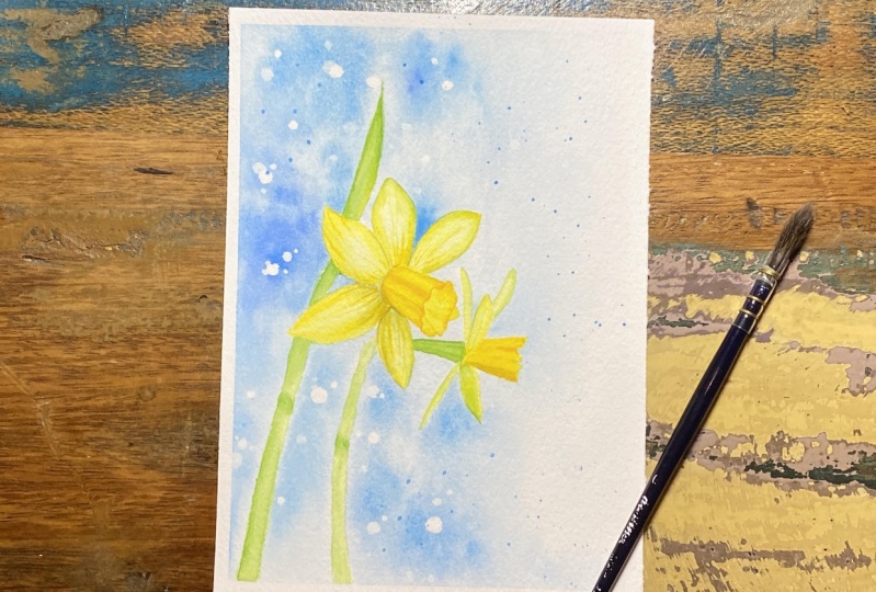 Daffodils