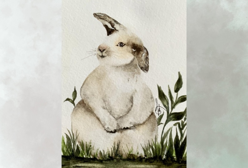 My bunny likes chocolate !