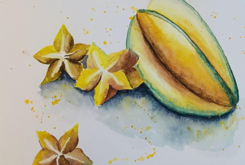Watercolor Starfruit