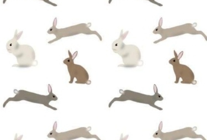 Bunnies!