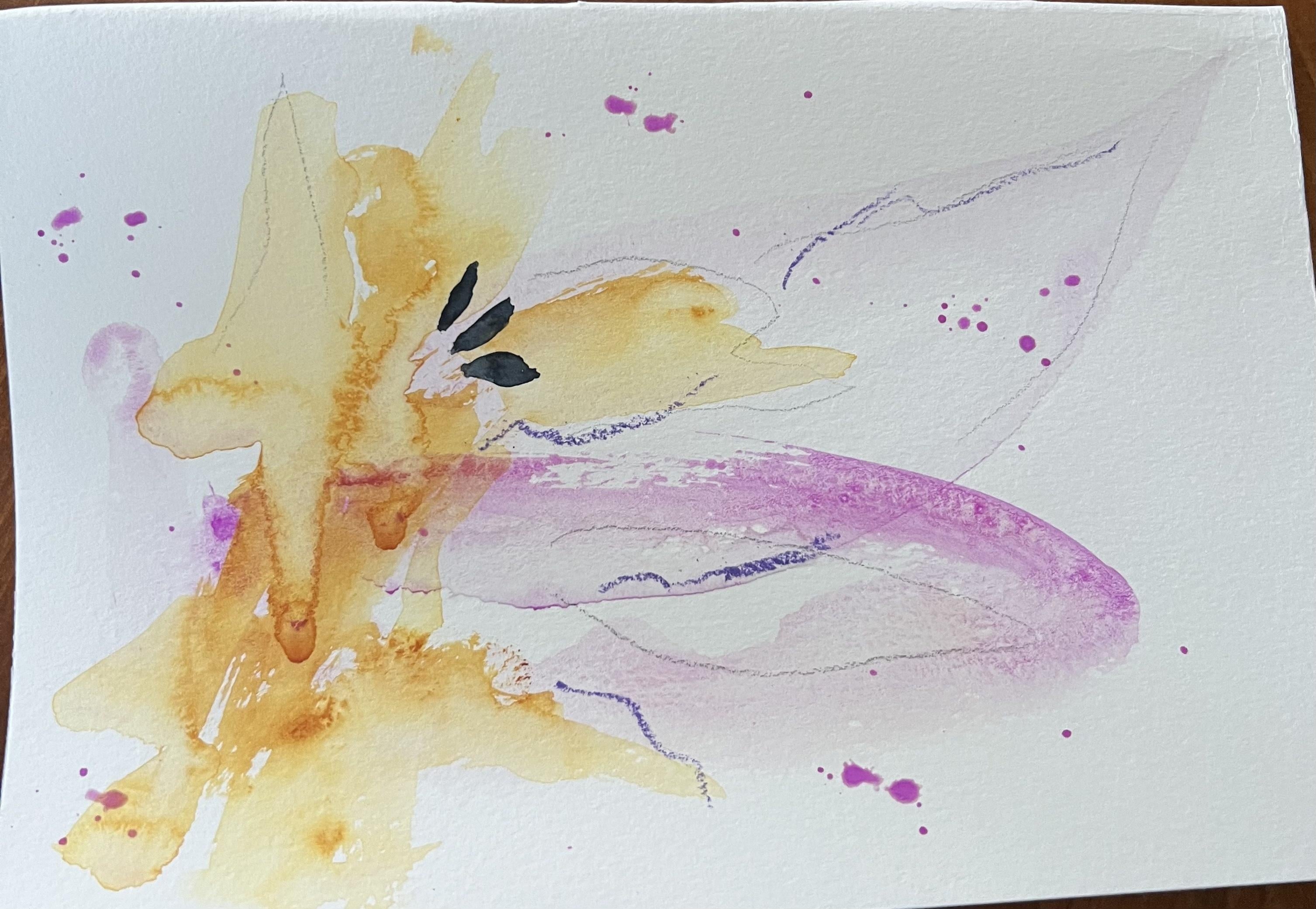 Spaciousness - student project