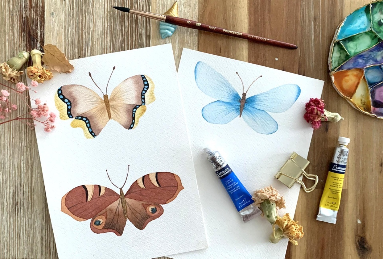 3 Butterflies - student project