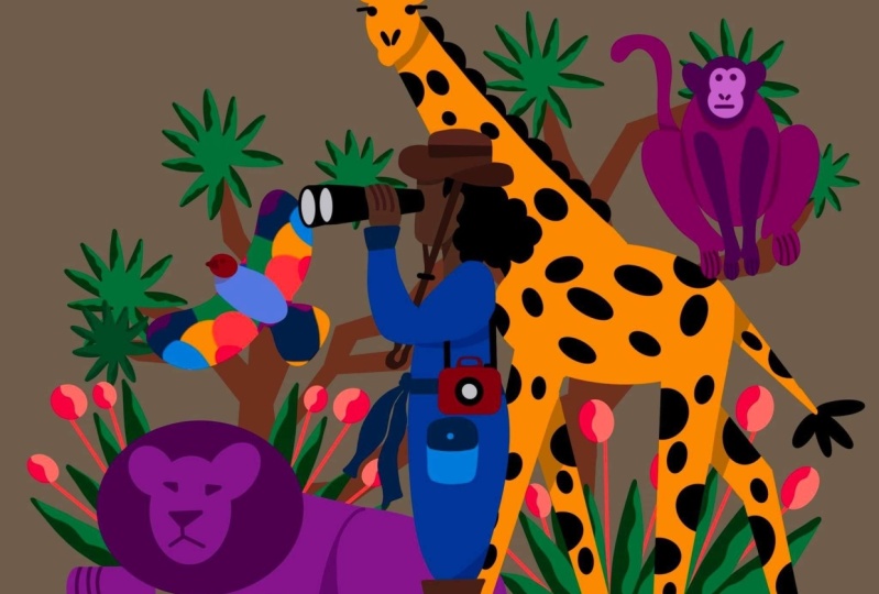 Safari