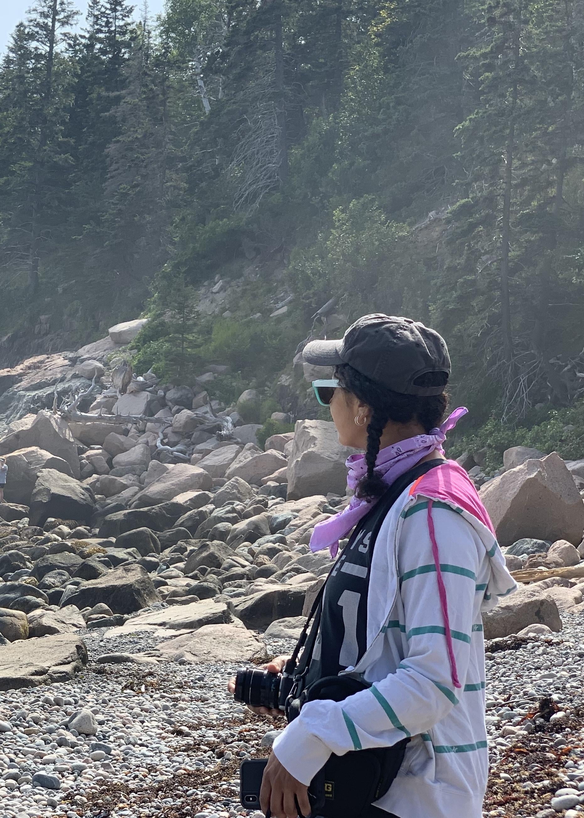 Acadia National Park - student project