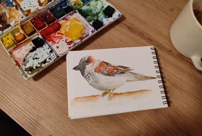 Sparrow