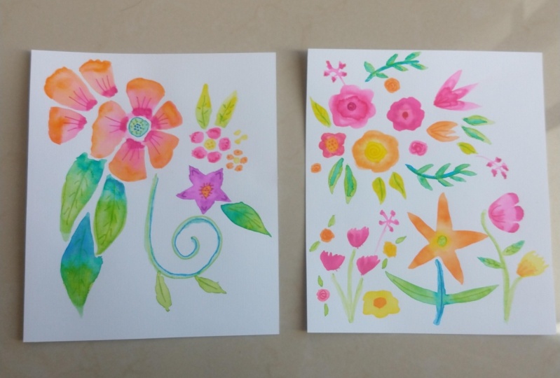 My colorful flowers