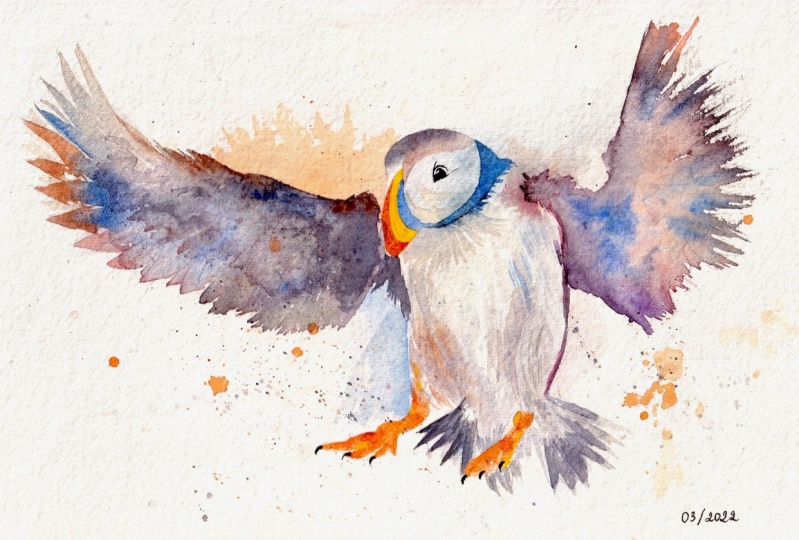 Watercolor Bird