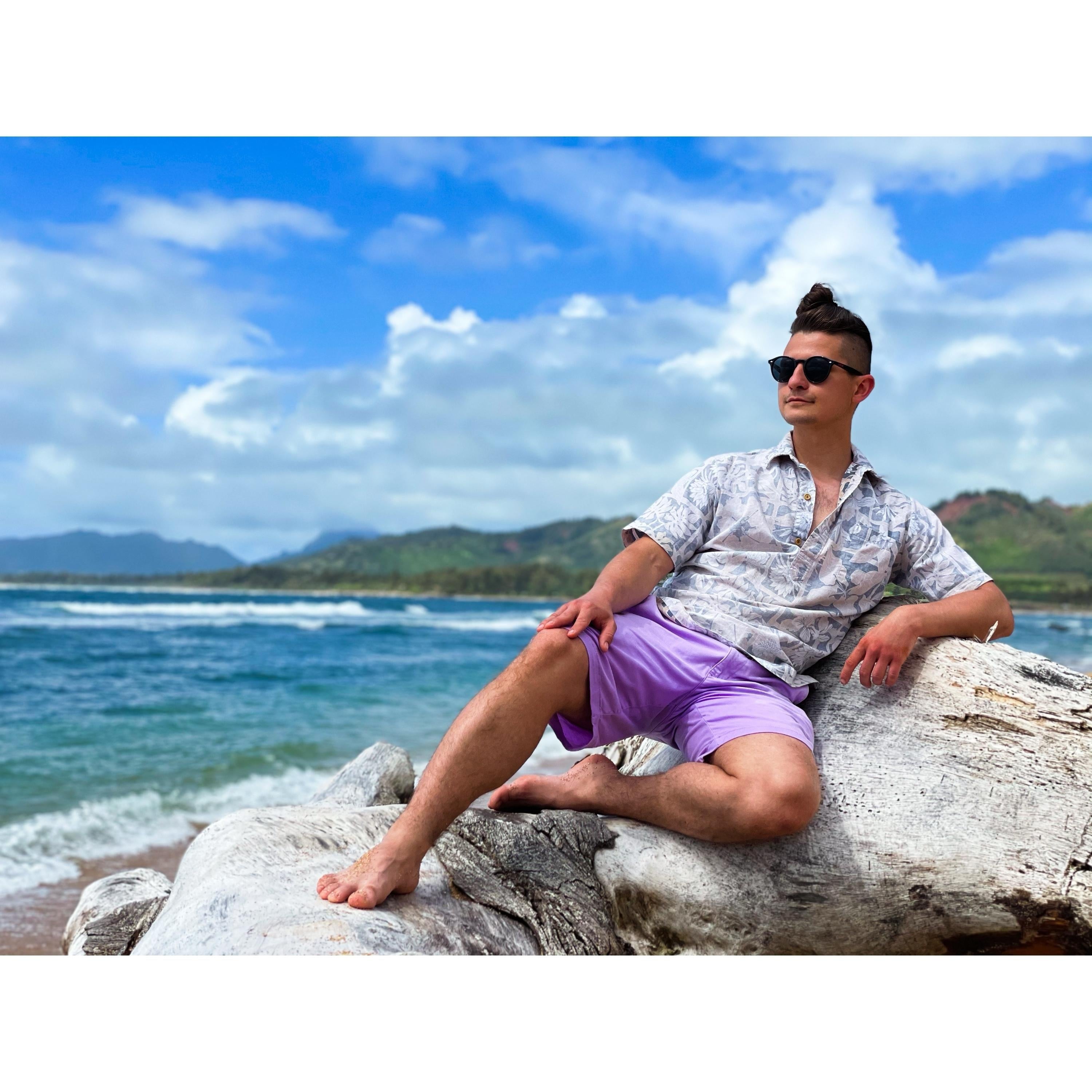 Vacation in Hawaii - student project
