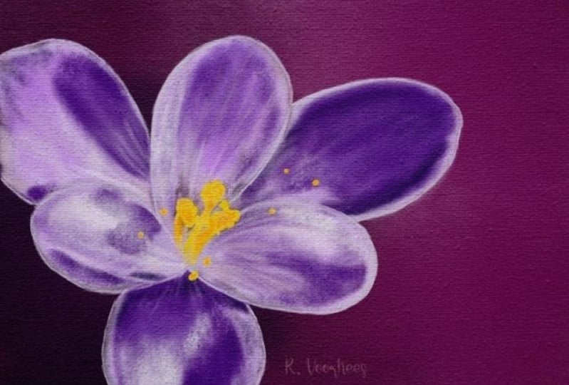 Springtime Crocus