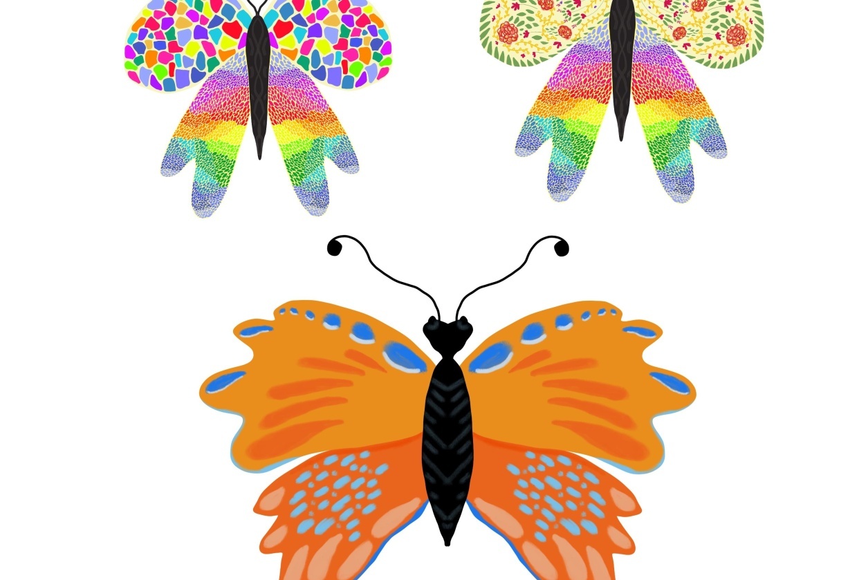 Colorful butterflies - student project