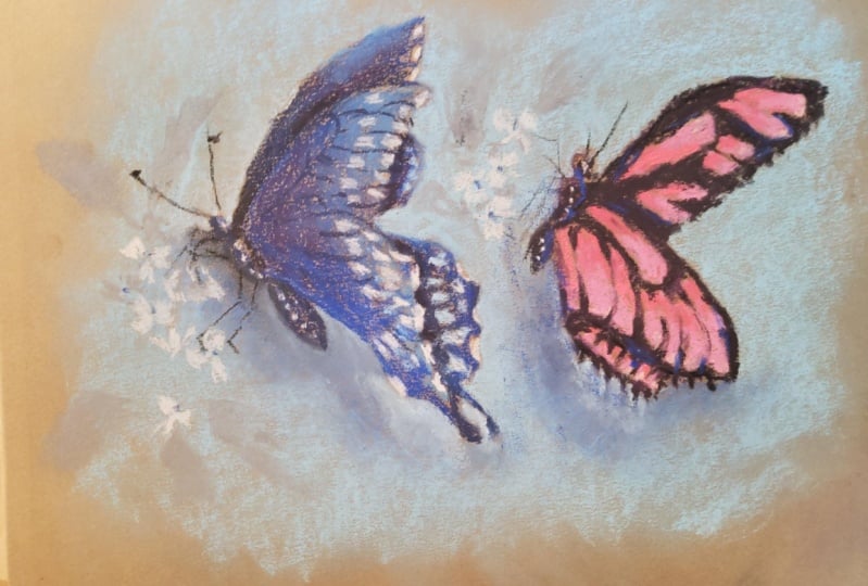 Kay Soft Pastel Butterflies