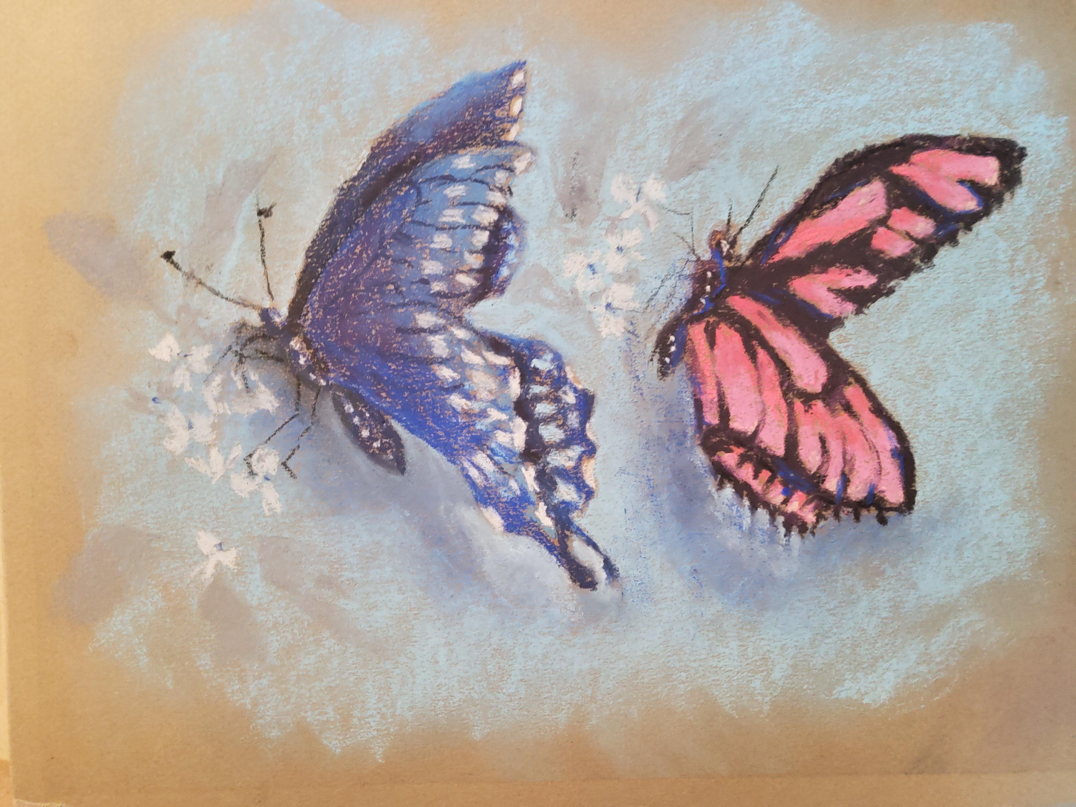 more-projects-from-class-img