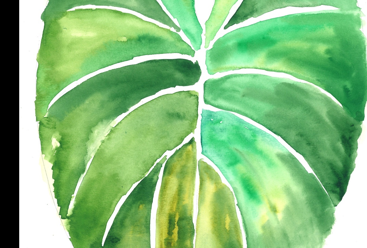 Tropical philodendron - student project
