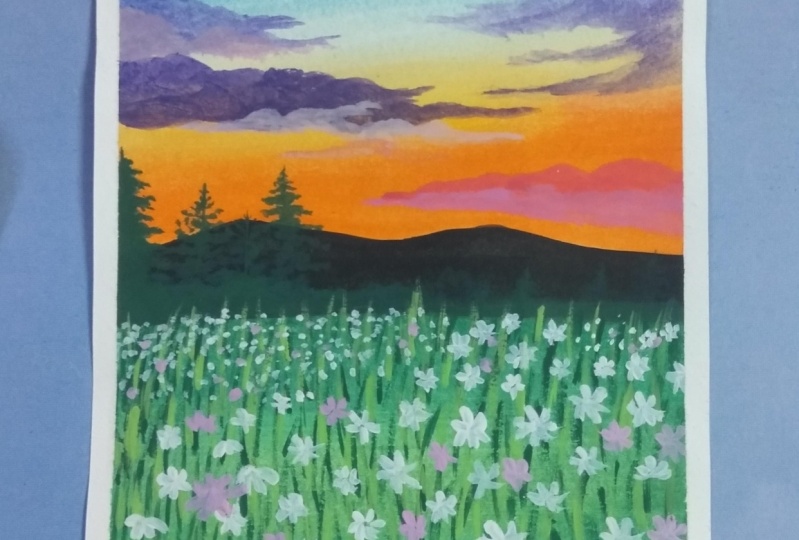 Daisy field