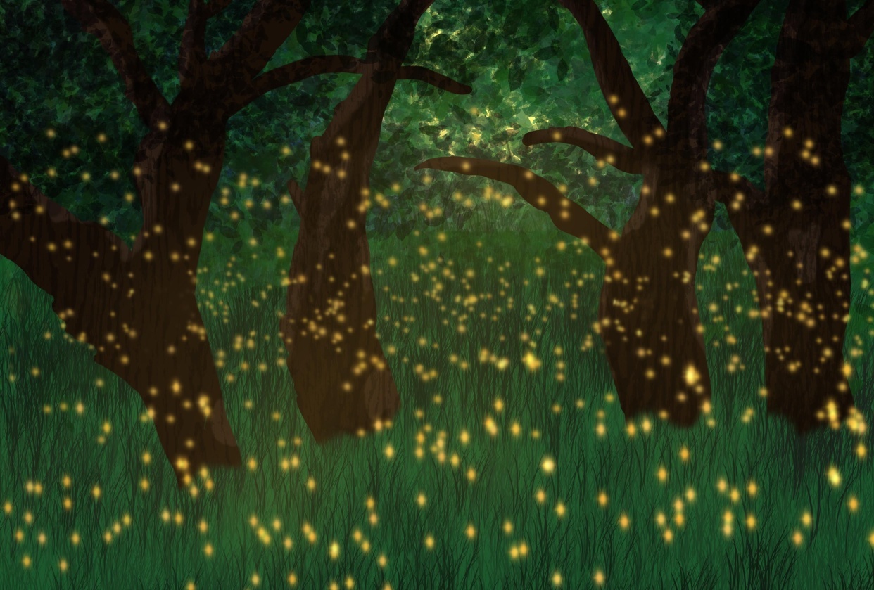 Fireflies - student project
