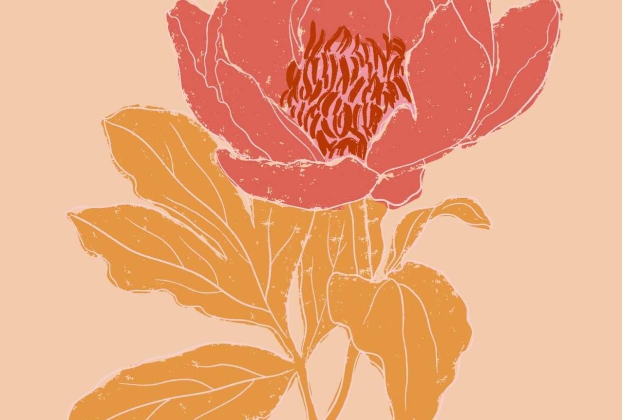 Peony with Texture - student project