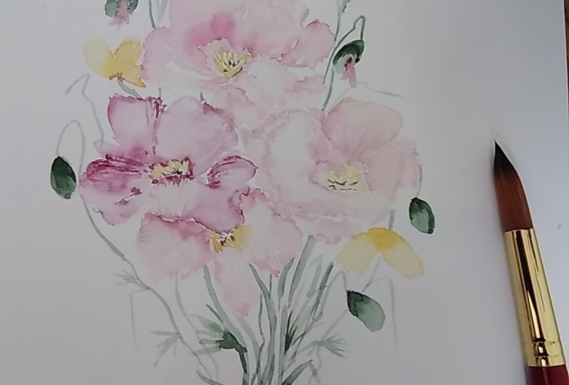 Loose watercolor poppies