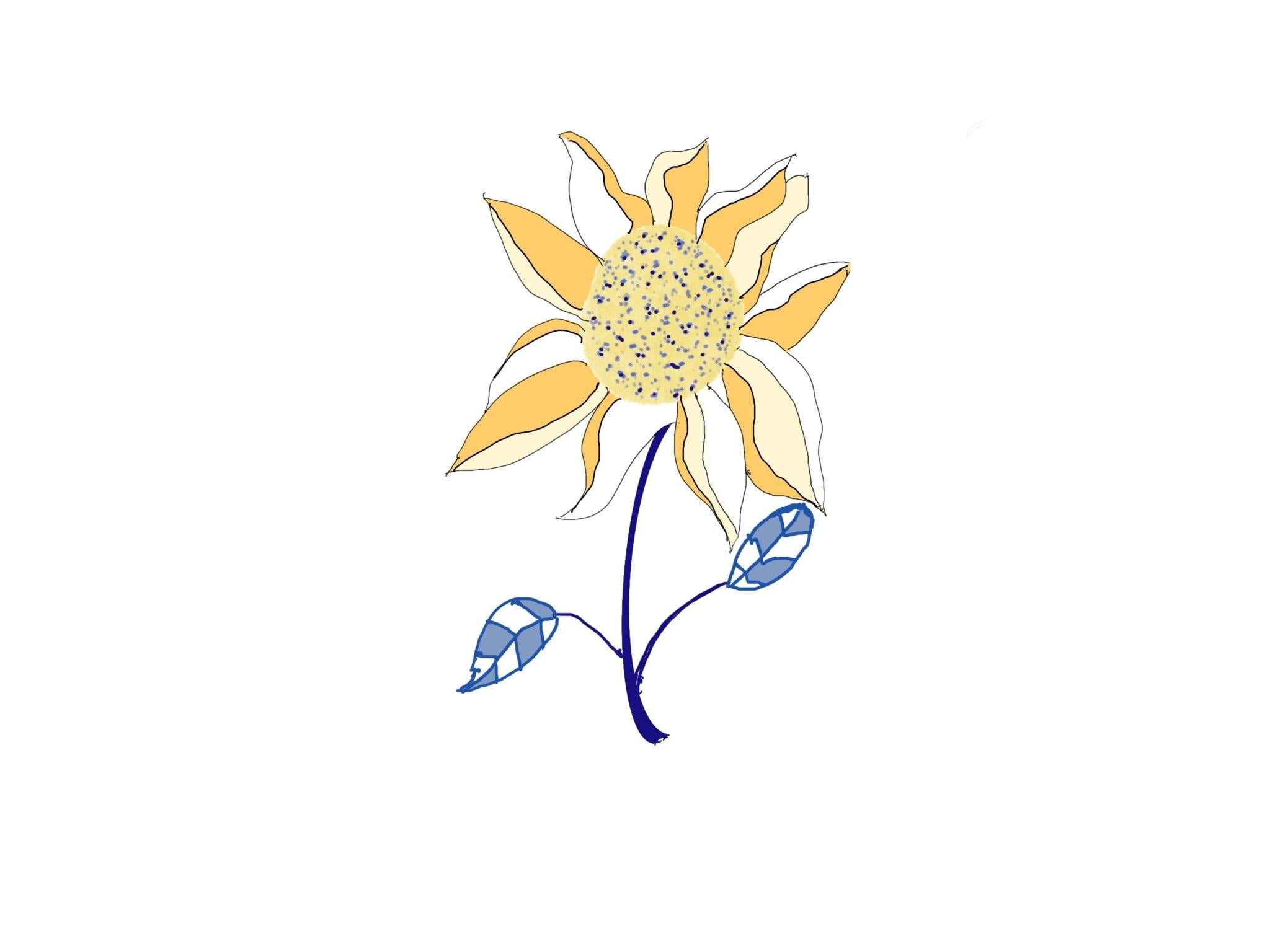 Sunflower - student project