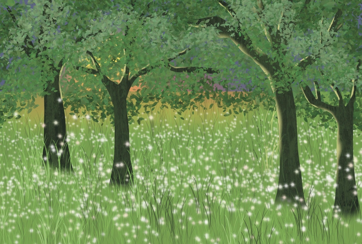 Firefly Forest - student project