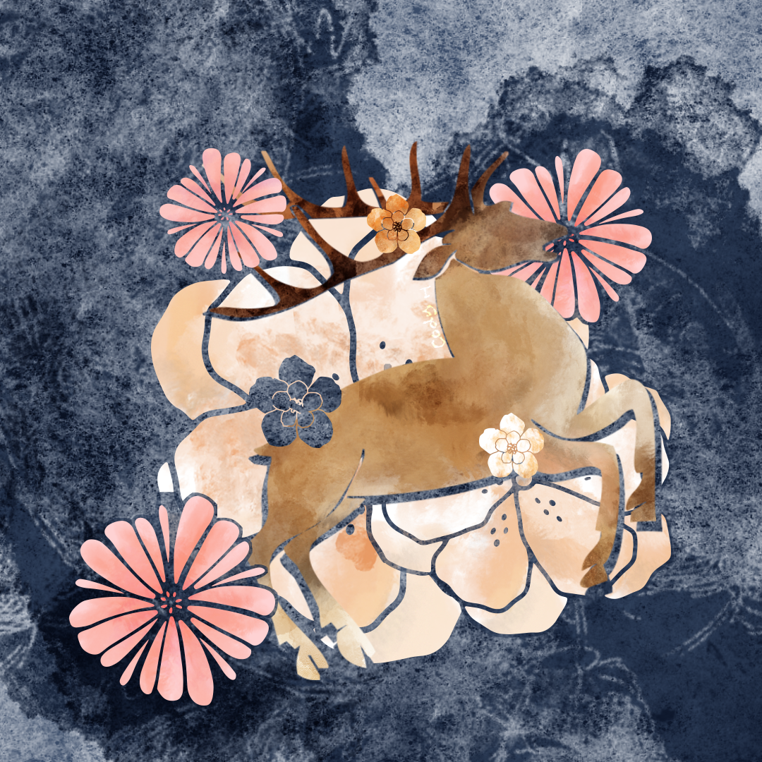 more-projects-from-class-img