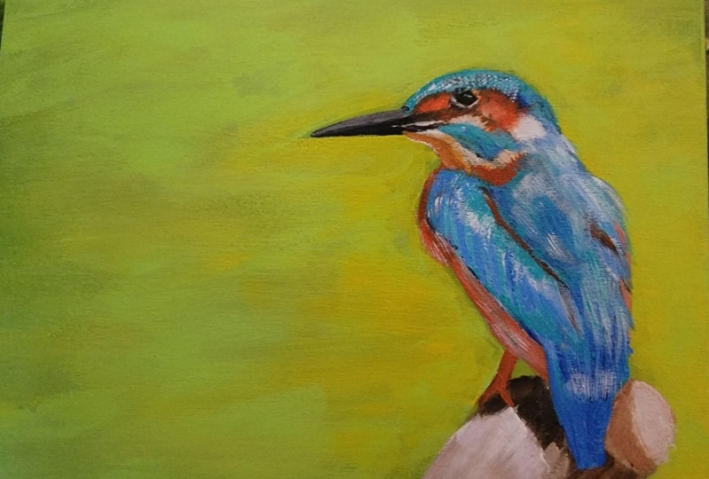 King fisher