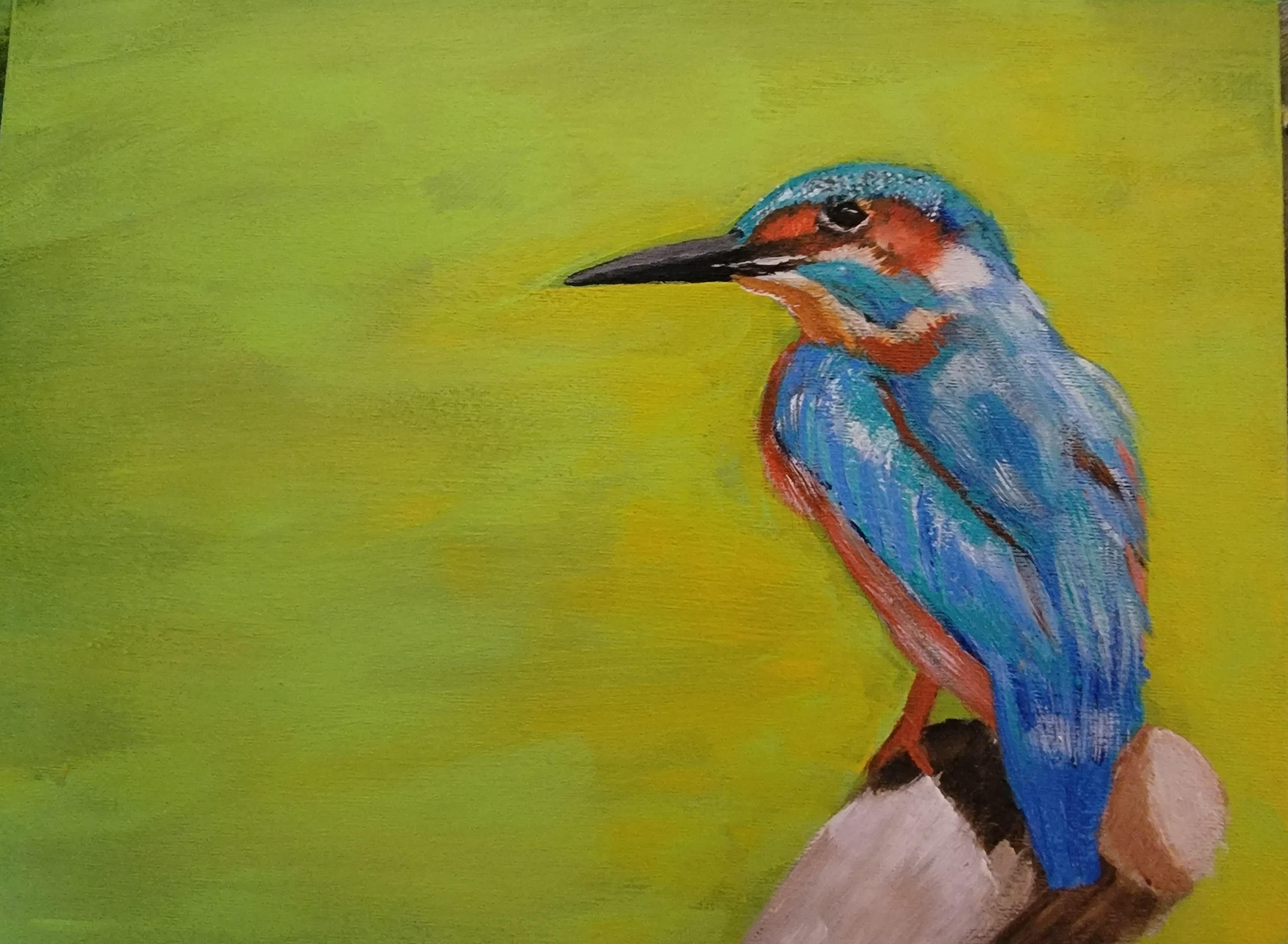 King fisher - student project