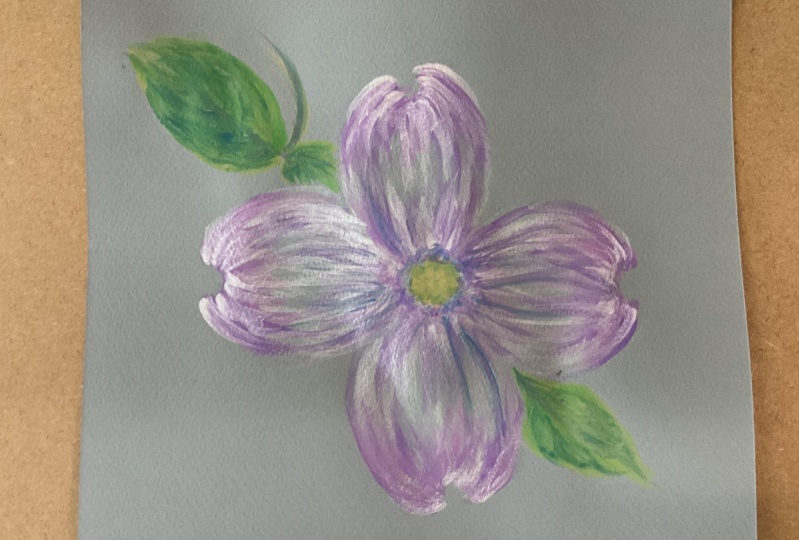Pink Dogwood