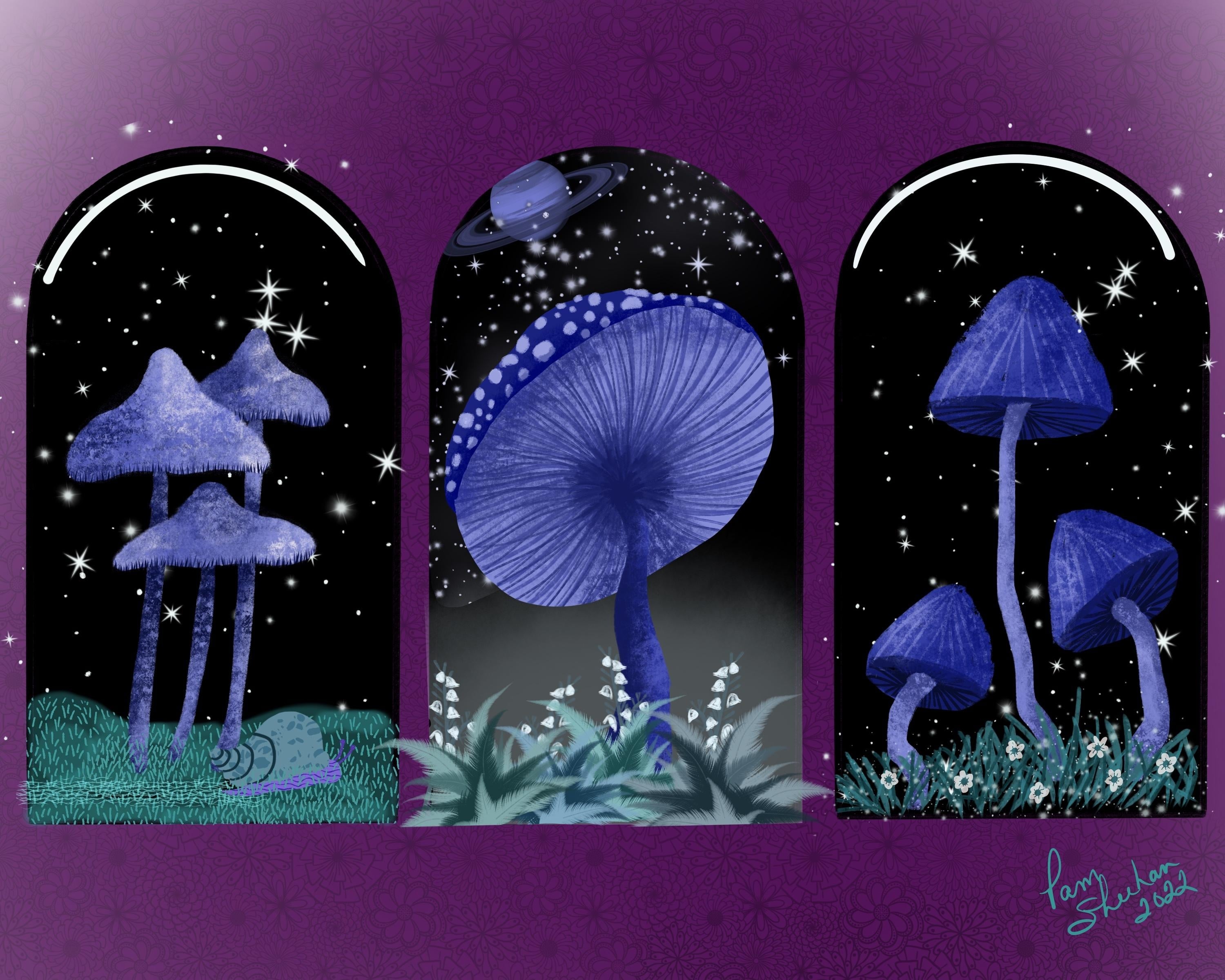 Mushrooms off the beaten path - student project