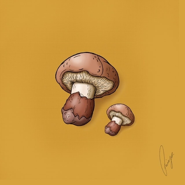Fungi
