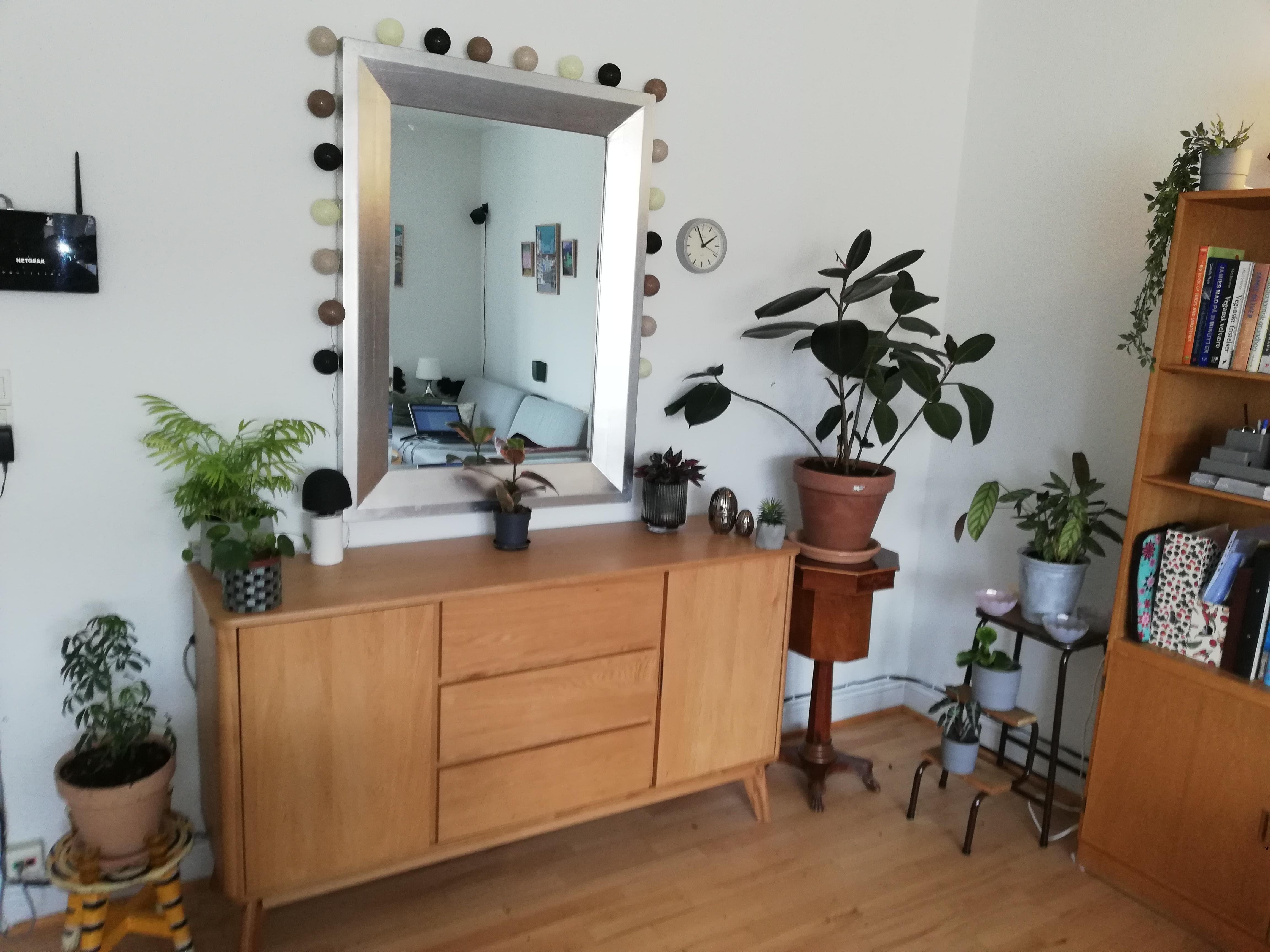 Focal point with plants - student project