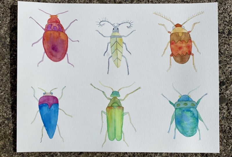 Watercolor flowers and beetles