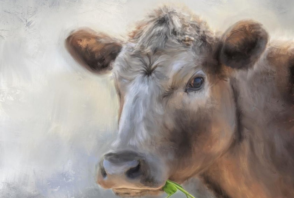 Farmhouse Style Cow Painting - student project