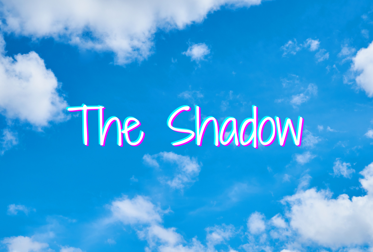 The Shadow - student project