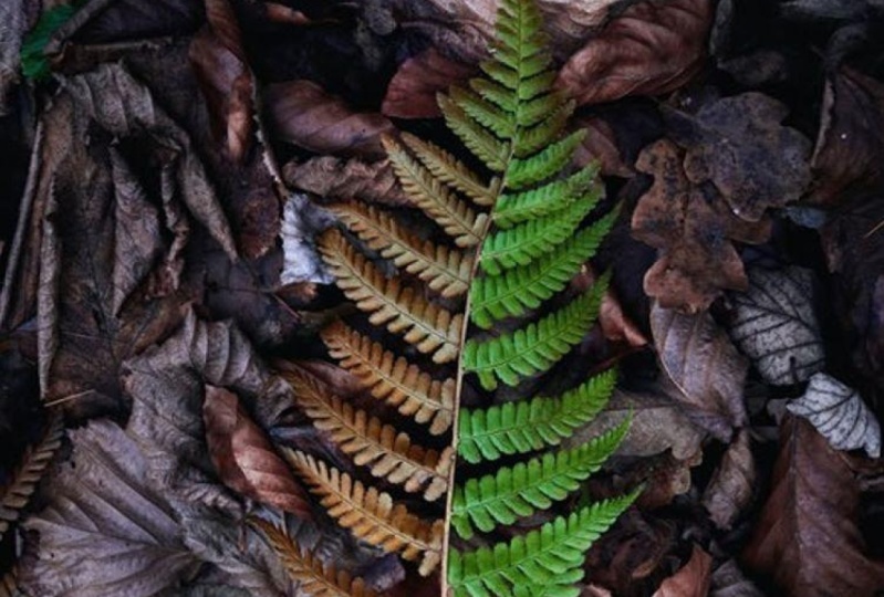 Two Seasons