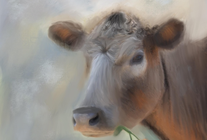 How to paint photos in procreate :Farmhouse style cow painting
