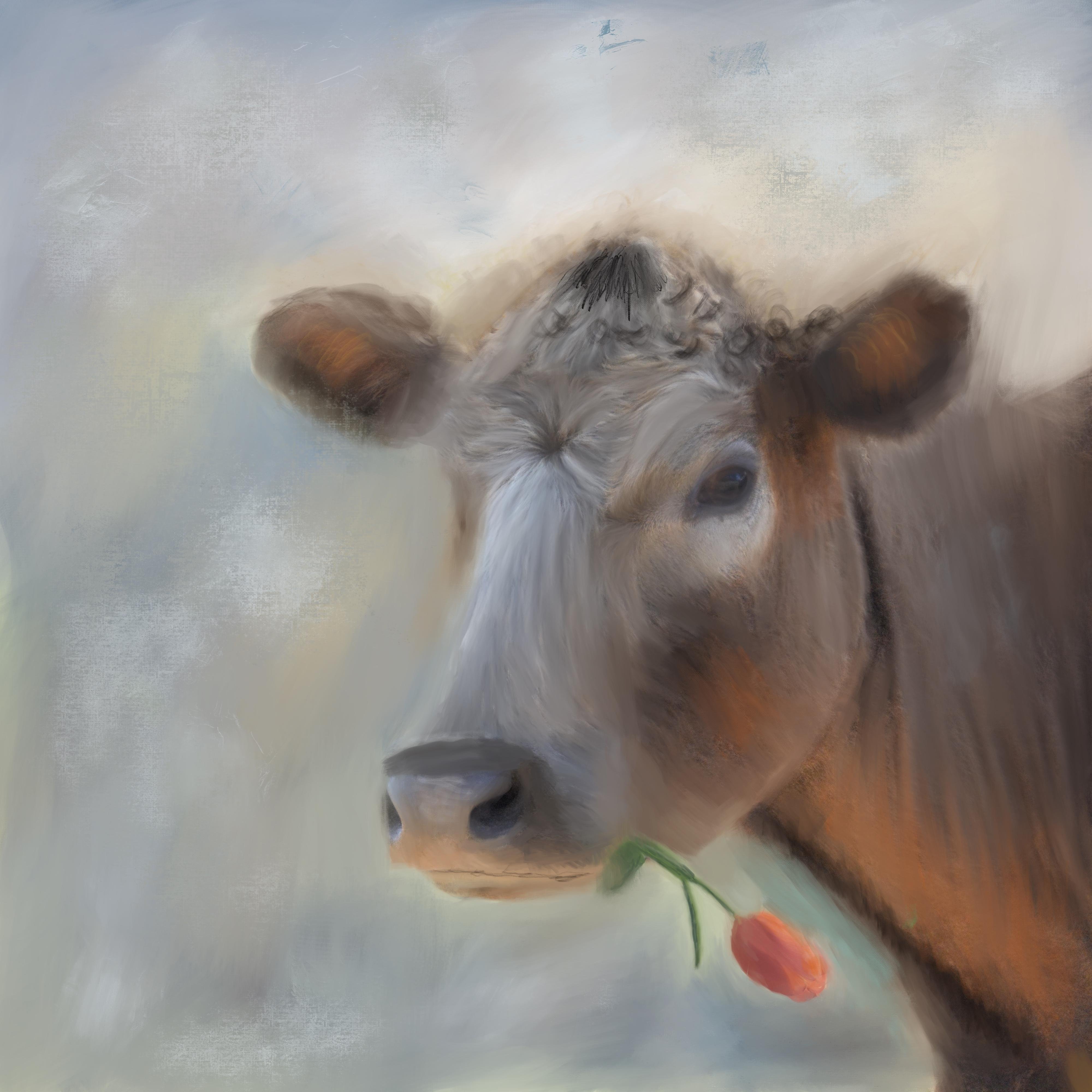How to paint photos in procreate :Farmhouse style cow painting - student project