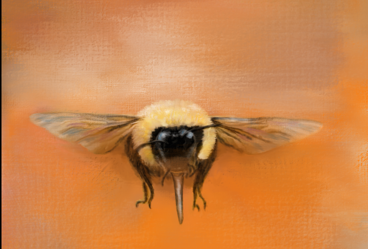Jai's Bumblebee - student project