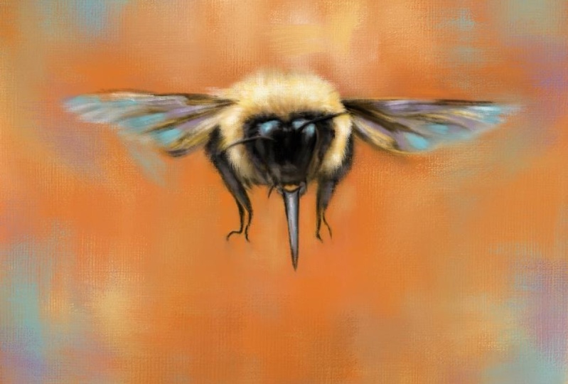 The Bumble Bee