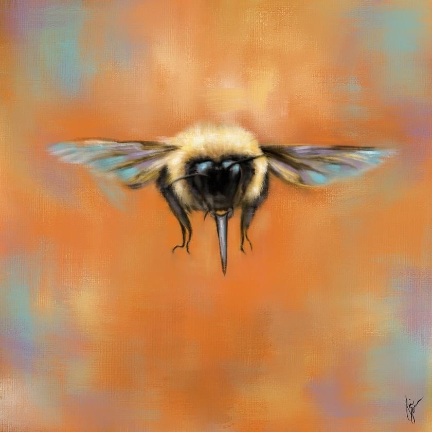 The Bumble Bee - student project