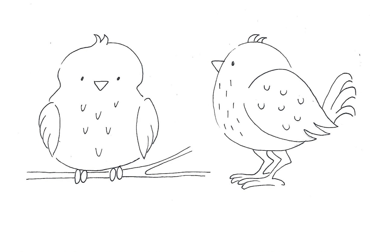 bird poses - student project